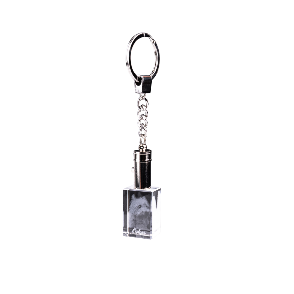 2D-Foto-Schlüsselanhänger mit Beleuchtung