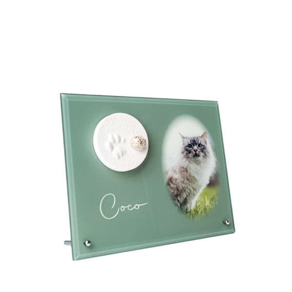 Pfotenabdruck aus Gips mit Asche auf Glasplatte inkl. Foto