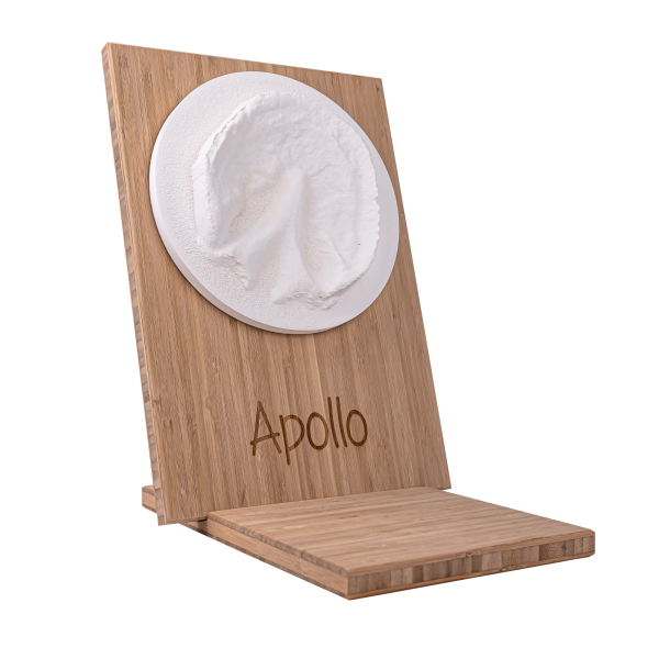 Hufabdruck aus Gips auf Holztafel inkl. Namensgravur