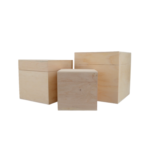 Holzurne Luna mit Jungbaum