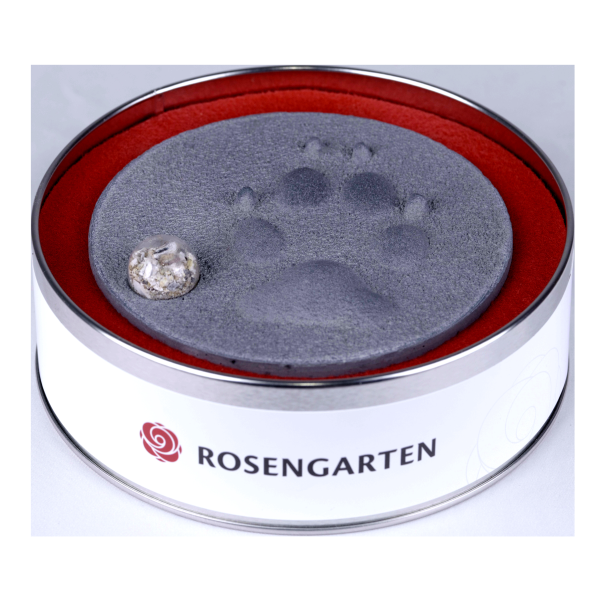 Pfotenabdruck aus Gips mit Asche in Metalldose, schwarz
