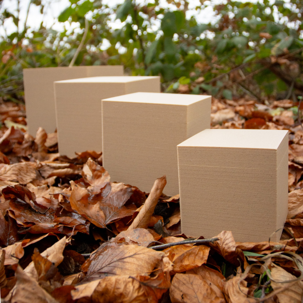 3D-Biourne Wolkenbox, verschiedene Motive