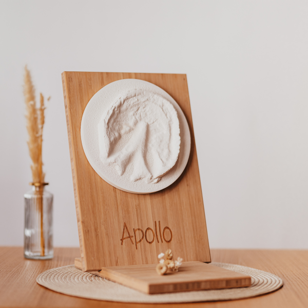 Hufabdruck aus Gips auf Holztafel inkl. Namensgravur