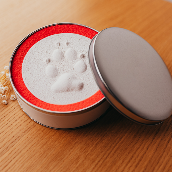 Pfotenabdruck aus Gips in Metalldose