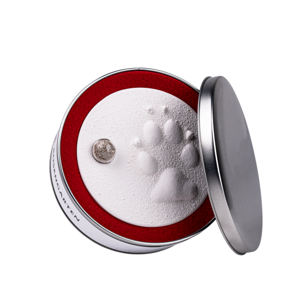 Pfotenabdruck aus Gips mit Asche in Metalldose