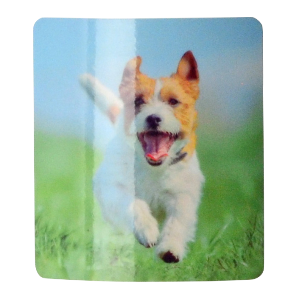 Fotoaufkleber von Bildvorlage, quadratisch, abgerundete Ecken