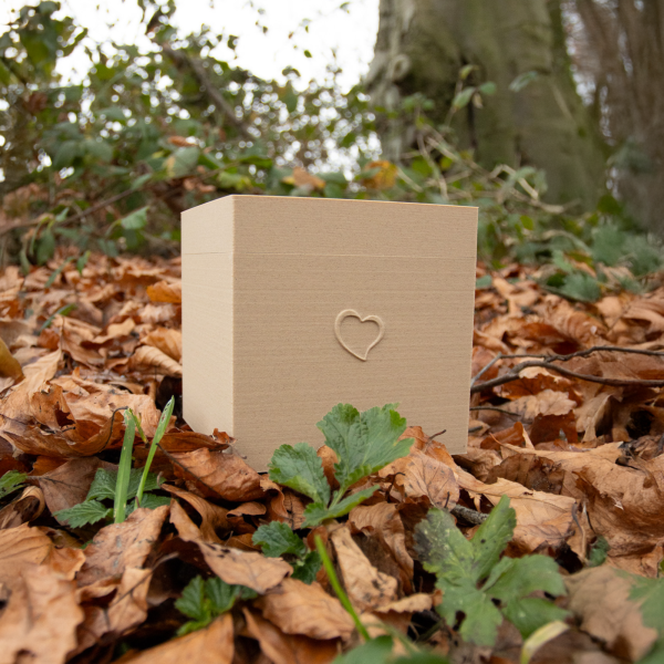 3D-Biourne Wolkenbox, verschiedene Motive