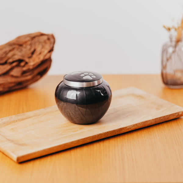 Metallurne mit silberfarbenen Pfoten