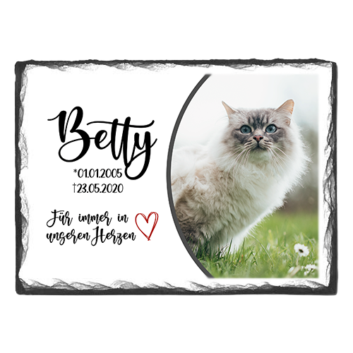 Schieferplatte weiß-glänzend