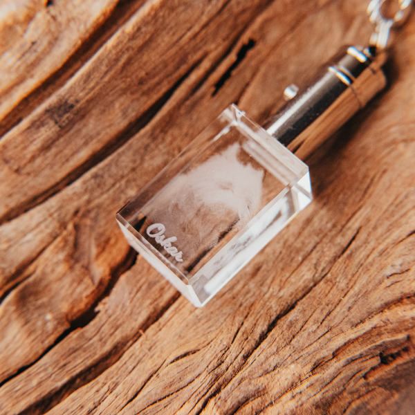 2D-Foto-Schlüsselanhänger mit Beleuchtung