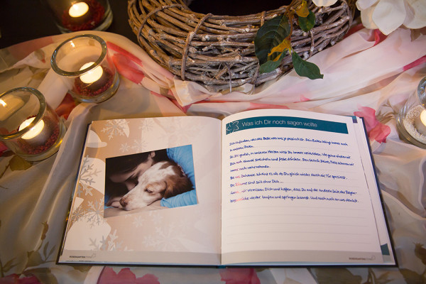 ROSENGARTEN-Sterne Gedenkbuch