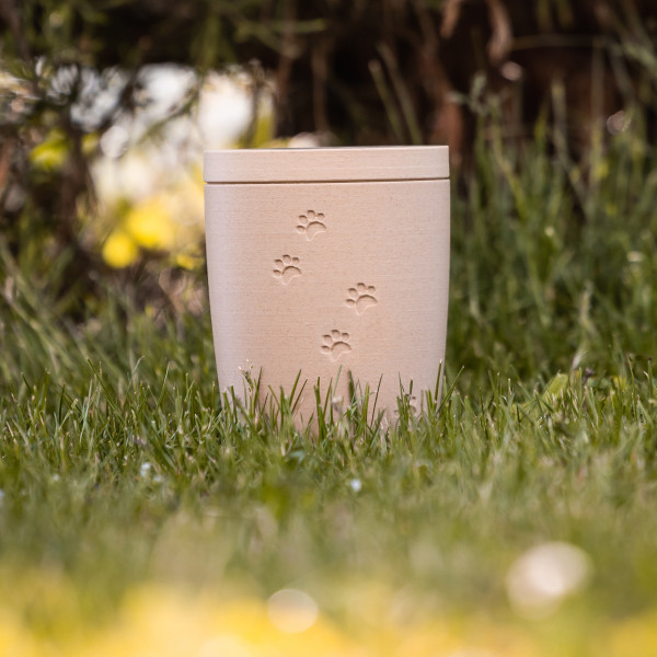 Biourne Zeitlos, verschiedene Designs