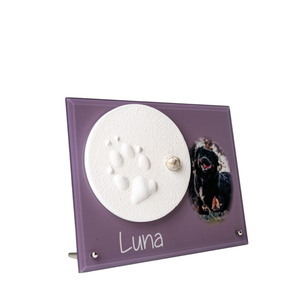 Pfotenabdruck aus Gips mit Asche auf Glasplatte inkl. Foto