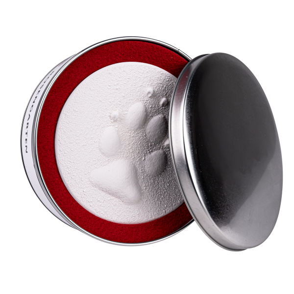 Pfotenabdruck aus Gips in Metalldose