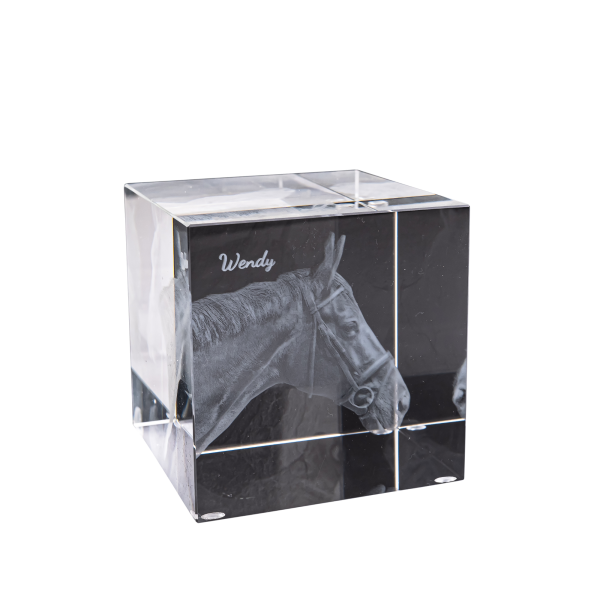 3D-Foto-Glasblock Quadrat