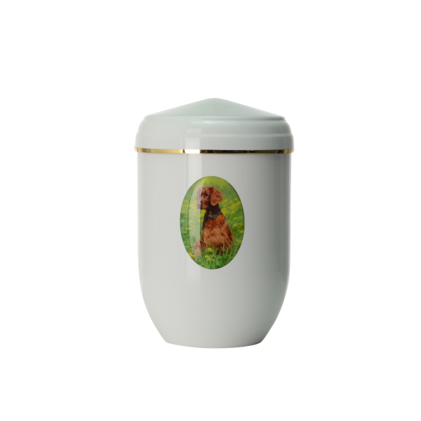 Plastisches Fotomedaillon von Bildvorlage, oval ausgeschnitten