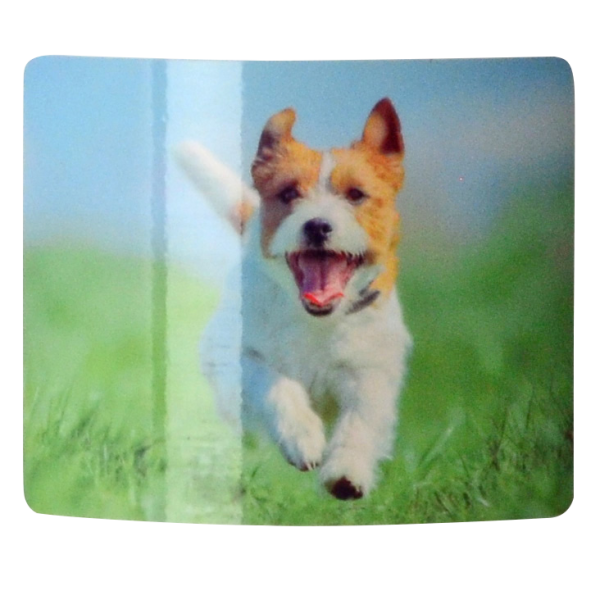 Fotoaufkleber von Bildvorlage, rechteckig, abgerundete Ecken