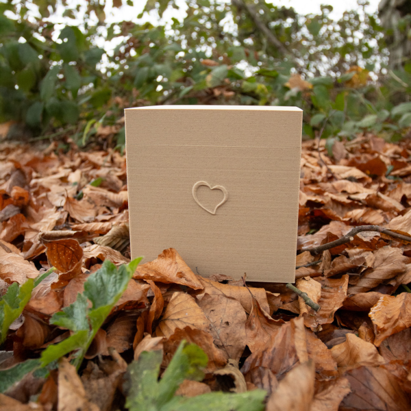 3D-Biourne Wolkenbox, verschiedene Motive