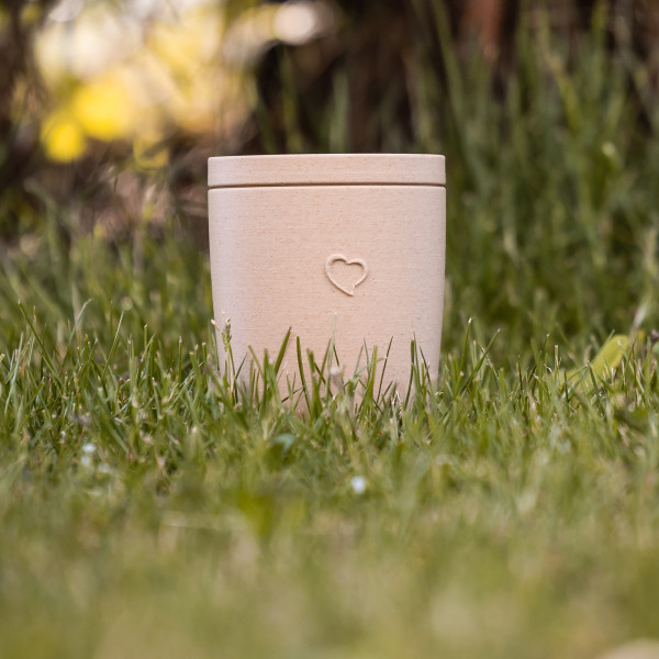 Biourne Zeitlos, verschiedene Designs