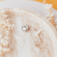 Ascheanhänger Pfote hochglänzend Ascheanhänger Pfote hochglänzend