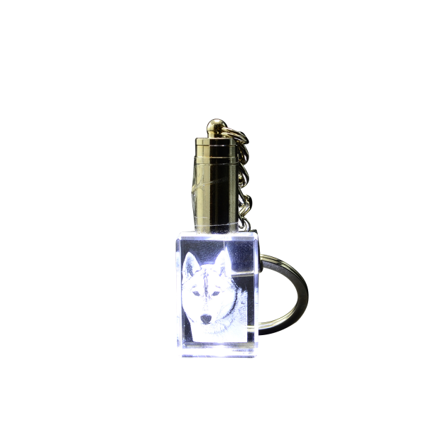 Laser 2D-Foto im Schlüsselanhänger mit Beleuchtung