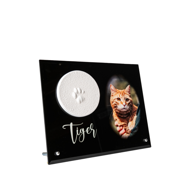 Pfotenabdruck aus Gips auf Glasplatte inkl. Foto