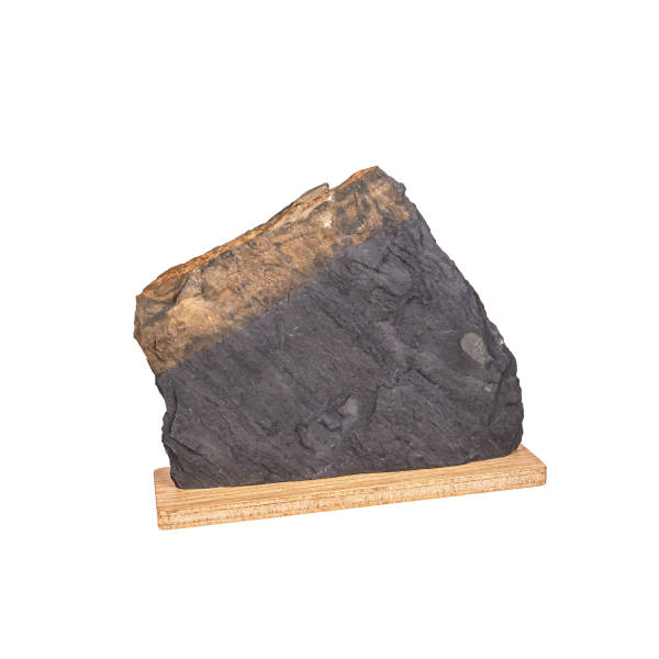 Gedenkstein Ceres mit Aschefach