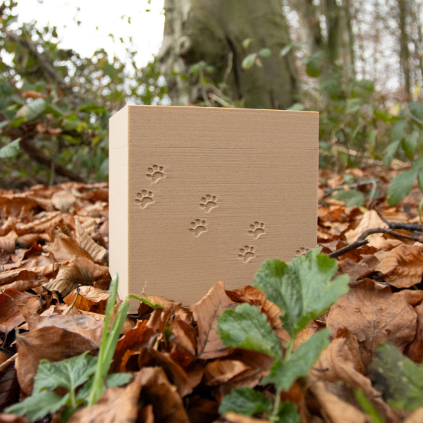 3D-Biourne Wolkenbox, verschiedene Motive