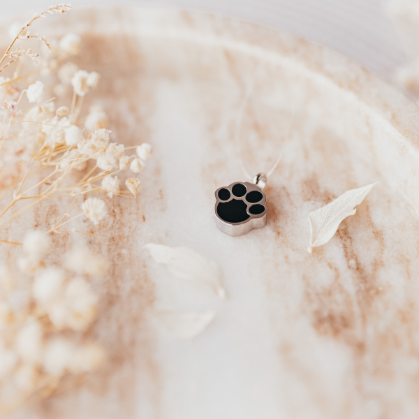 Ascheanhänger Pfote schwarz