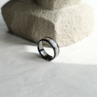 Aschering Fellow Aschering Fellow