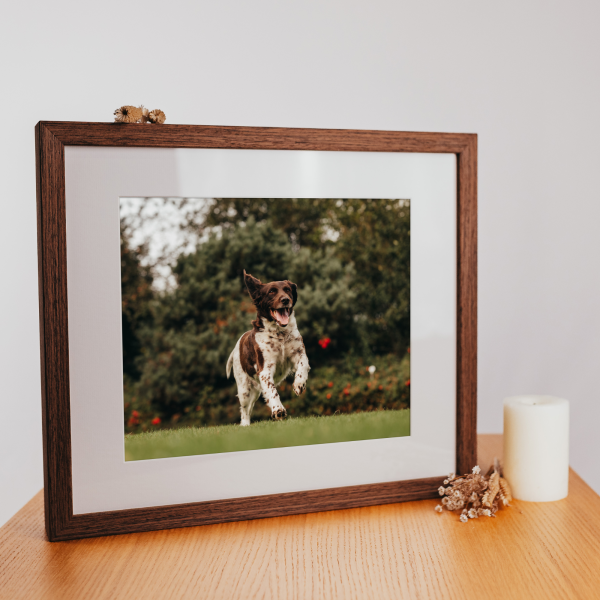 Bilderrahmen-Urne - Handgefertigte Erinnerungsstücke von ganz besonderen Menschen