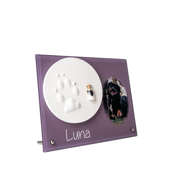 Pfotenabdruck aus Gips mit Fell auf Glasplatte inkl. Foto