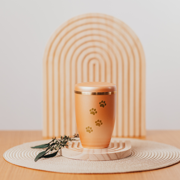 Kupferurne mit goldenen Pfötchen