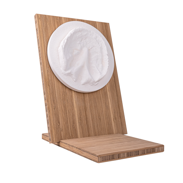 Hufabdruck aus Gips auf Holztafel