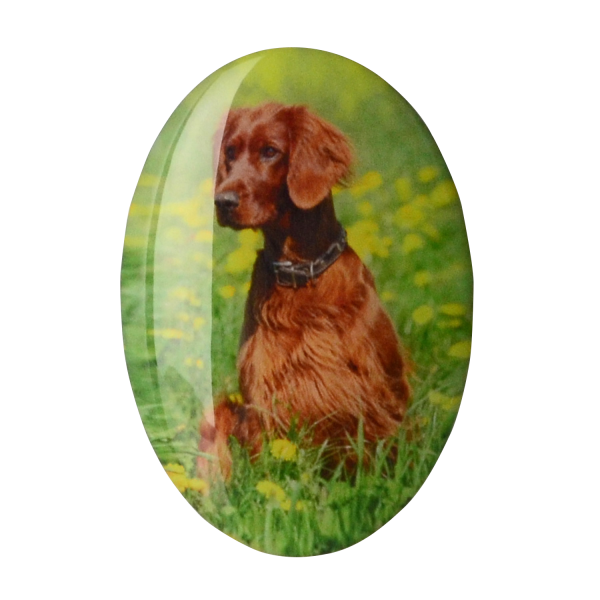 Plastisches Fotomedaillon von Bildvorlage, oval ausgeschnitten