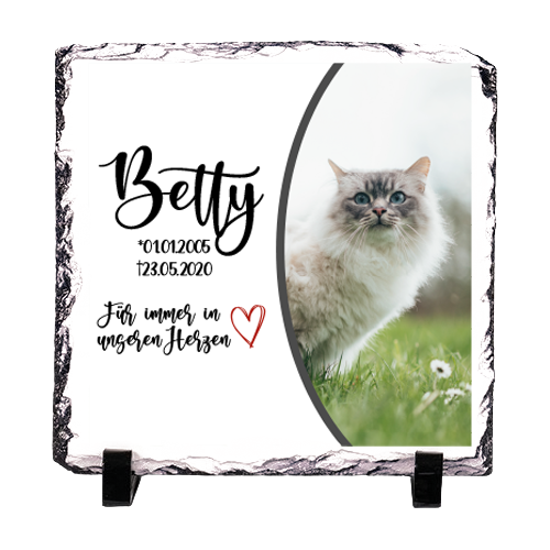 Schieferplatte weiß-glänzend