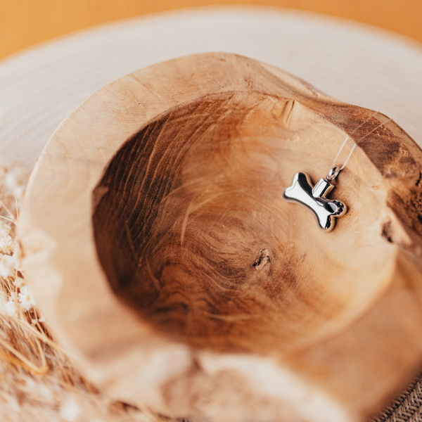 Ascheanhänger Knochen