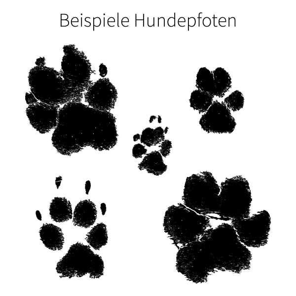Pfotenabdruck als Grafik
