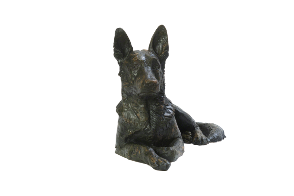 Kunstharzurne, verschiedene Rassen