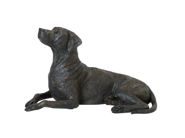 Kunstharzurne, Rhodesian Ridgeback