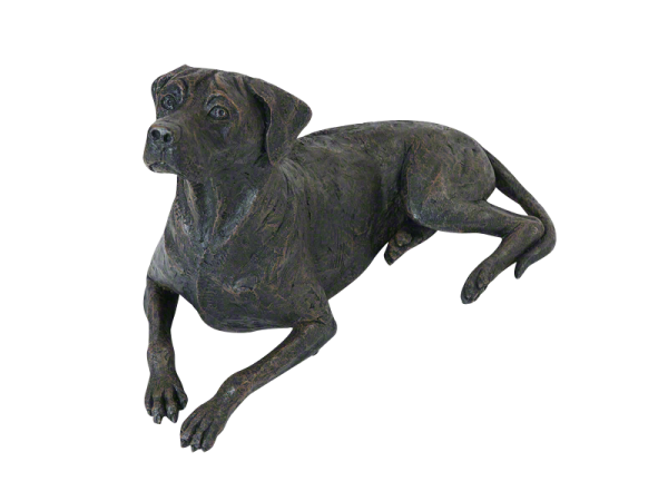 Kunstharzurne, Rhodesian Ridgeback