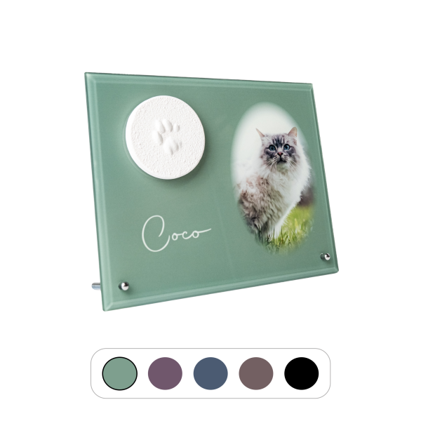 Pfotenabdruck aus Gips auf Glasplatte inkl. Foto