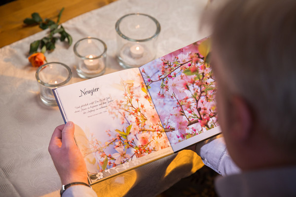 ROSENGARTEN-Sterne Gedenkbuch