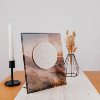 Pfotenabdruck auf Glasplatte inkl. Bedruckung und Beschriftung Pfotenabdruck auf Glasplatte inkl. Bedruckung und Beschriftung