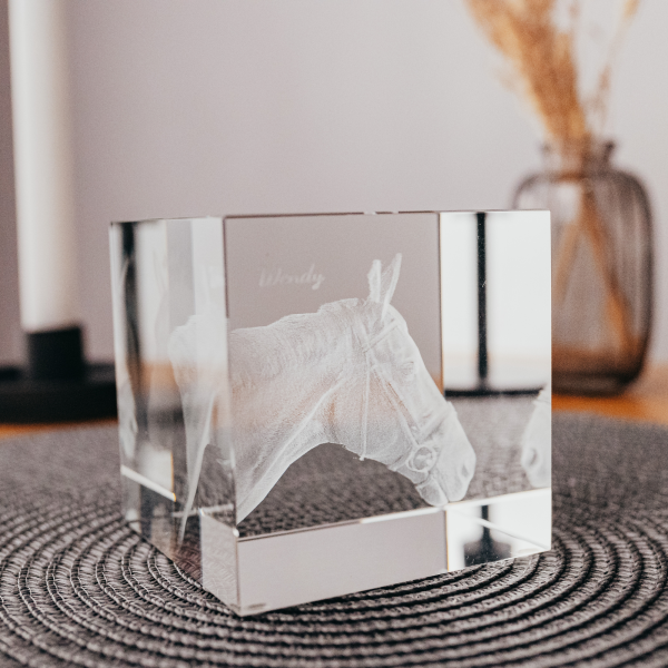 3D-Foto-Glasblock Quadrat