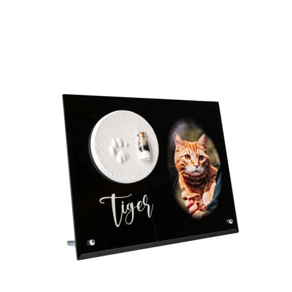 Pfotenabdruck aus Gips mit Fell auf Glasplatte inkl. Foto