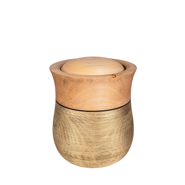 Holzurne Linde, goldener Zierring gecrasht