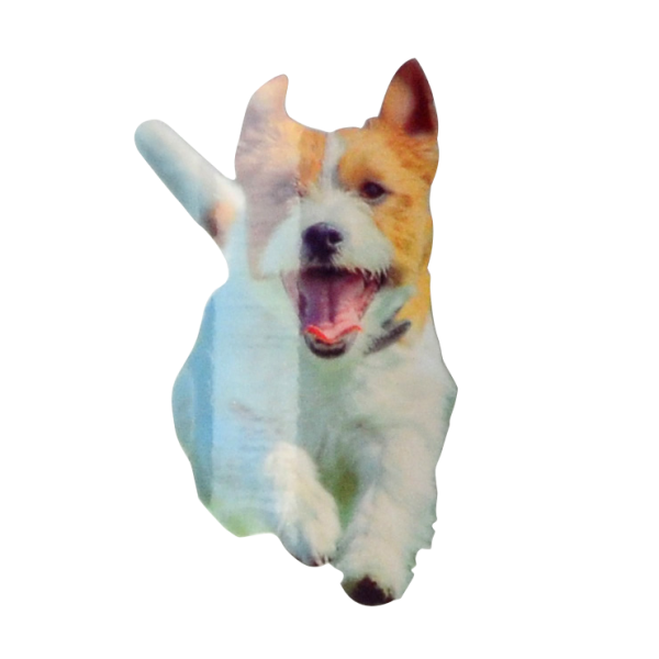 Fotoaufkleber von Bildvorlage, individueller Formzuschnitt (Tierform, Herz, etc.)