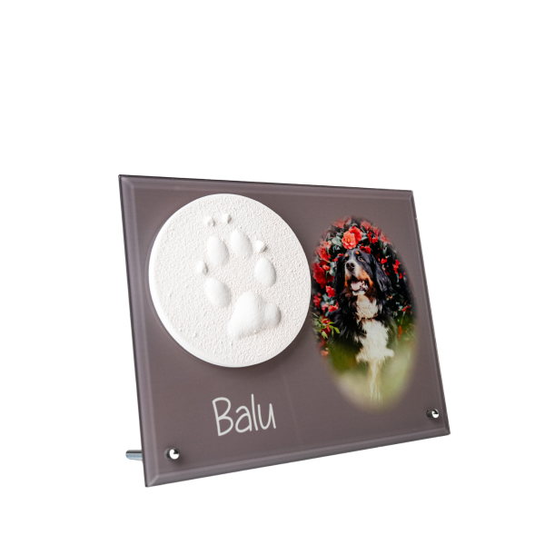 Pfotenabdruck aus Gips auf Glasplatte inkl. Foto