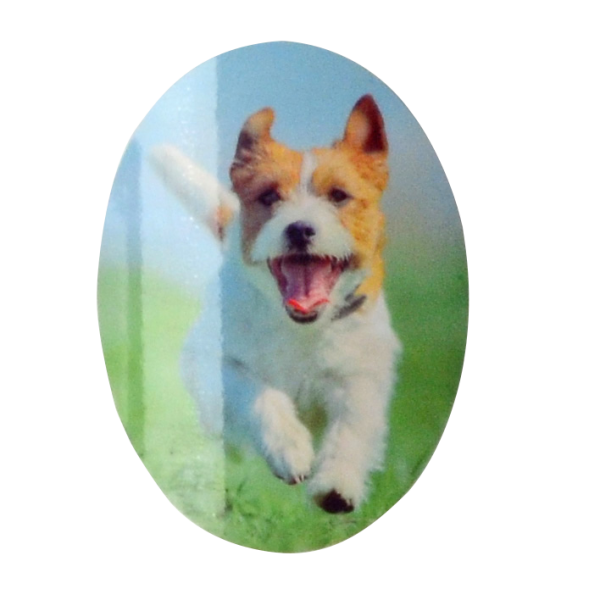 Fotoaufkleber von Bildvorlage, oval